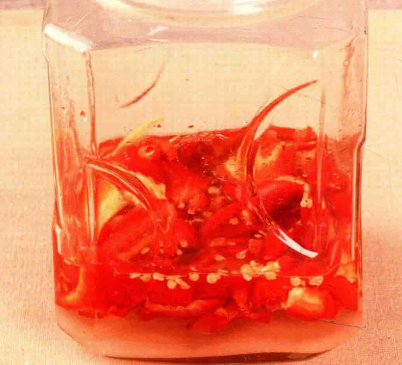 如何自制​红柿子椒酵素?​柿子椒酵素的制作方法步骤与作用功效