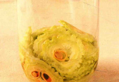制作​苦瓜酵素汁与苦瓜酵素蔬果瘦身汁的做法与作用功效