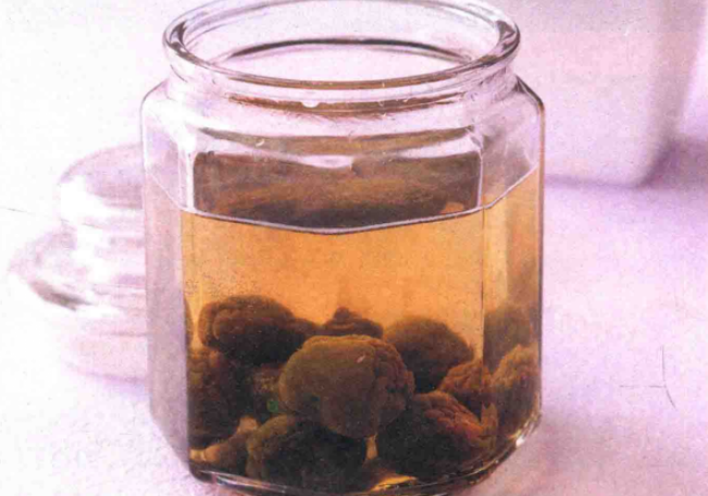 梅子可以制作酵素吗?梅子酵素的制作方法与作用功效