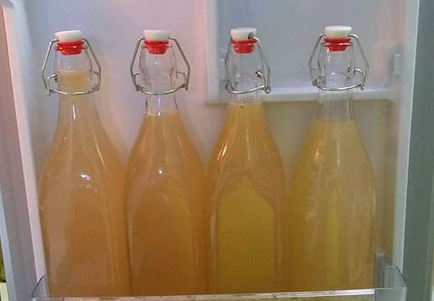如何制作酵素碳酸饮料与酵素醋_制作方法及用料流程