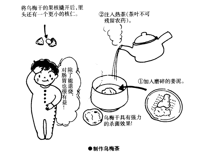 乌梅茶能纾缓发烧症状_乌梅退烧的方法