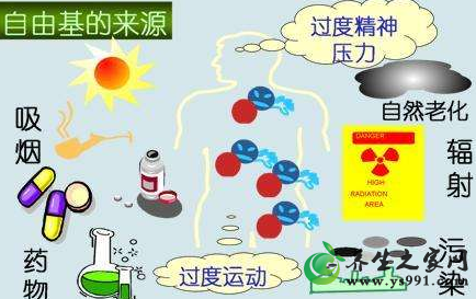 自由基产生的7大原因_自由基是怎么形成的