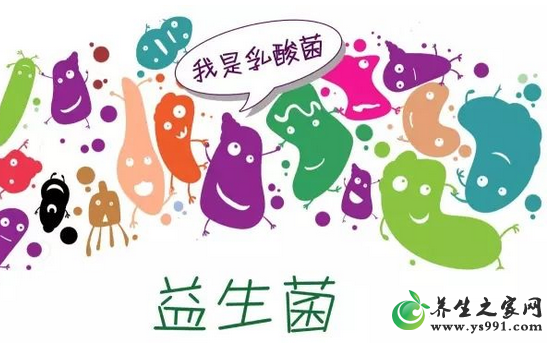 益生元和益生菌的区别与关系_两者的作用有何不同