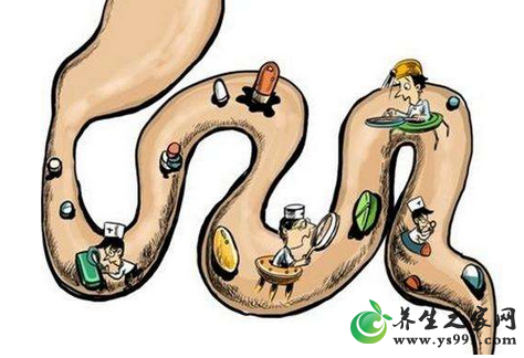 肠道与微生物酵素的关系