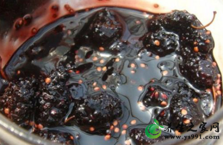 桑椹膏的功效与作用怎么样_桑椹膏的制作方法与生发配方