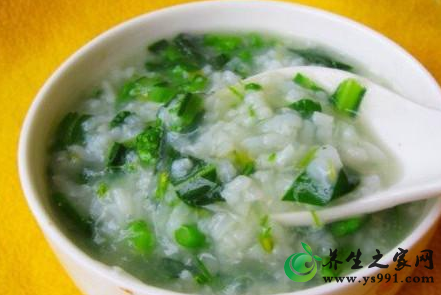 桑叶的食疗方法_新鲜桑叶怎样吃