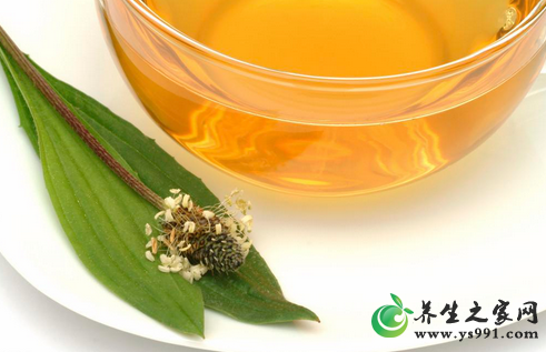 药茶的饮用方法_如何服用药茶