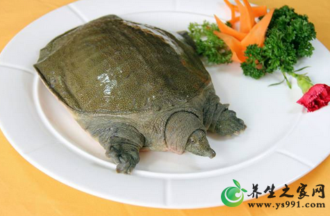 吃甲鱼有什么好处?甲鱼的作用和功效