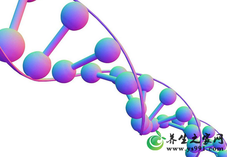 核酸与抗衰老有何关系?核酸可以延缓衰老吗