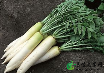 17种营养最丰富的根茎类蔬菜排行榜_根茎类蔬菜营养价值