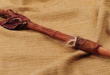 鹿鞭的功效与作用禁忌_鹿鞭禁忌人群与注意事项