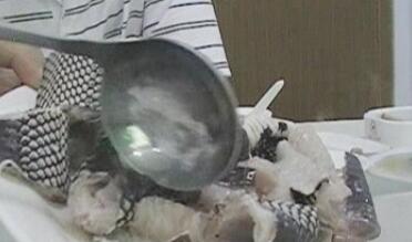 眼镜蛇肉的功效与作用禁忌_眼镜蛇肉禁忌人群与注意事项