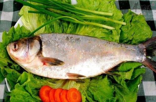 鲢鱼不能和什么一起同吃？与鲢鱼相宜相克的食物有哪些