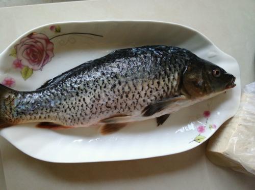 鲤鱼不能和什么一起同吃？与鲤鱼相宜相克的食物有哪些