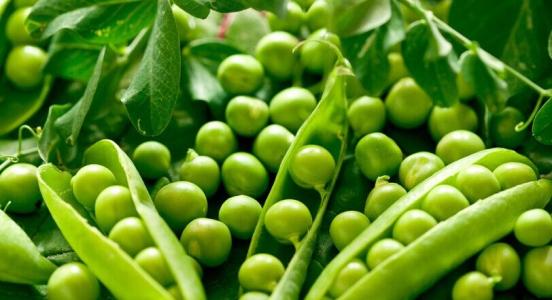 豌豆不能和什么一起同吃？与豌豆相宜相克的食物有哪些