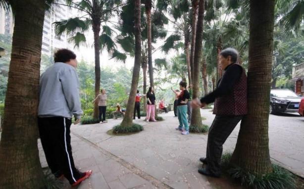 撞树养生对身体好不好? 用身体撞树、背部撞墙的注意事项