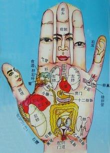手指操的基本动作_如何自己练习手指操