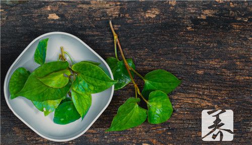 野麻草