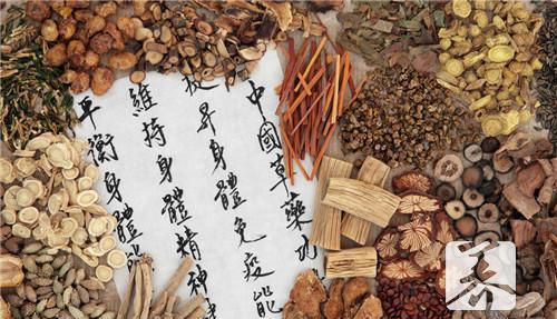 黄芪打粉能直接吃吗