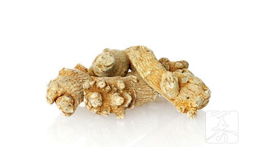 三七粉可以止血吗