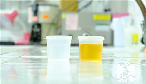 刚怀孕后尿液什么颜色