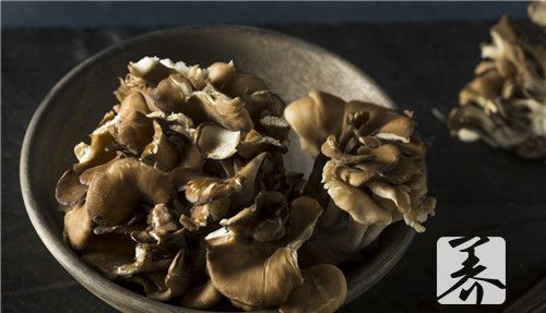 白桦茸能治什么病