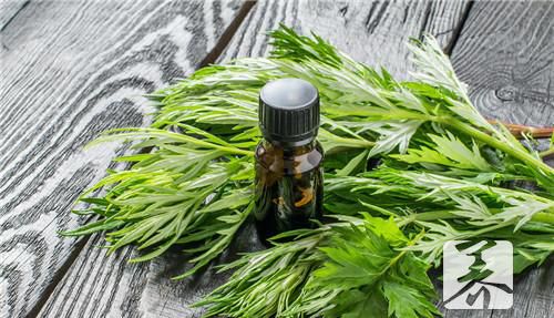 艾草洗头的功效与作用有哪些呢？