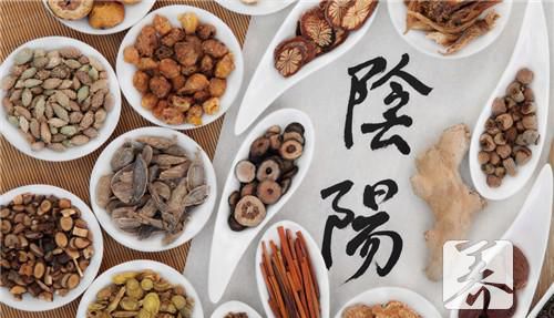 蚂蟥功效作用有什么