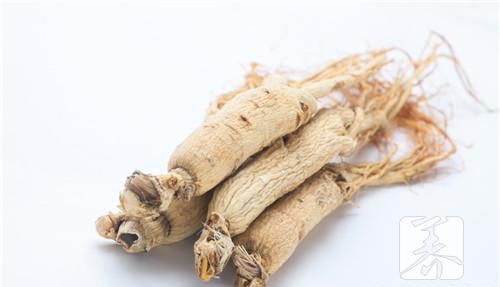 朝白参怎么吃好呢