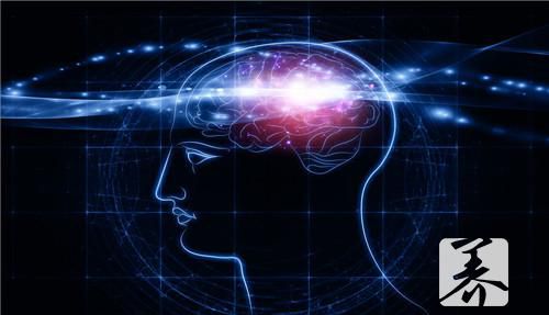 儿童健脑益智的中药有什么？