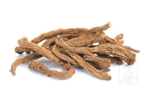 当归尾药性是什么？