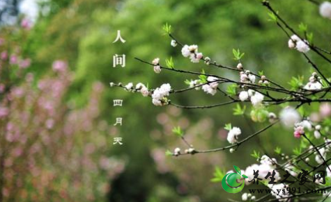 四月怎样养生?四月养生注意事项