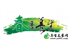 春季怎样养生?春季养生注意事项