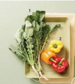 秋季进补吃什么好？中老年人秋天食补注意事项与禁忌