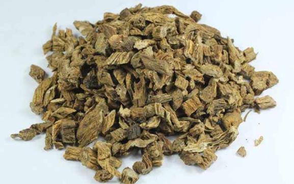 百部的现代药理与作用功效_百部可以治疗哪些疾病