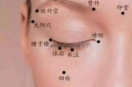 眼与脏腑经络的关系