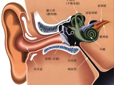 老中医治疗耳疾医案大全_中医治疗方法