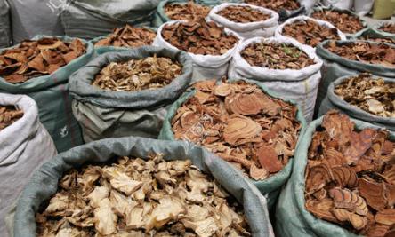 老中医小儿腹泻怎么治？中医治疗药方配方处方大全