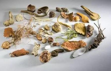 老中医血小板减少性紫癜怎么治？中医治疗药方配方处方大全