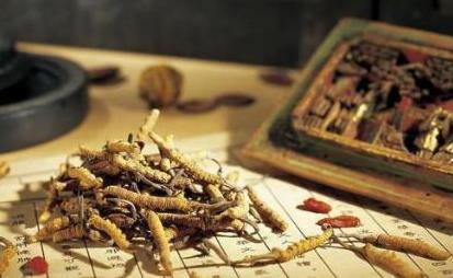 老中医痢疾怎么治？中医治疗药方配方处方大全