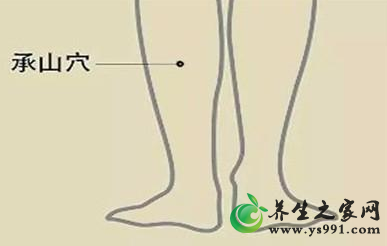 改善湿热体质的五大保健穴位_湿热体质穴位养生方法
