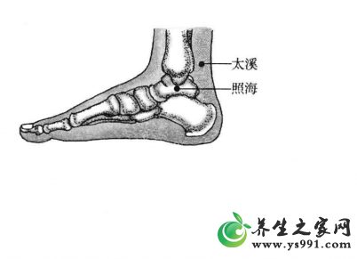 阴虚体质经络养生法_阴虚体质针灸穴位按摩的方法
