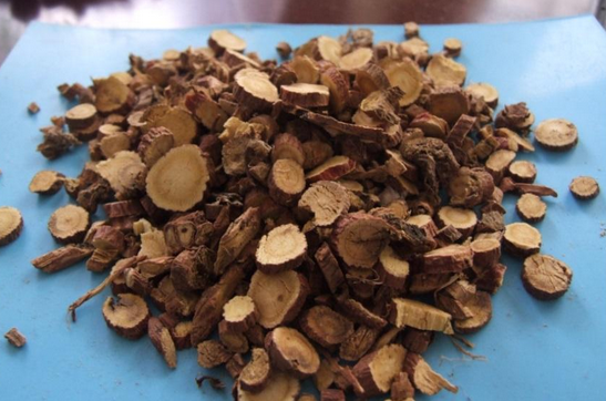 刘振声芍药甘草汤加减治疗痹证医案经验