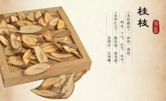 陈超桂桂枝汤治疗​小儿汗证、身痛经验医案