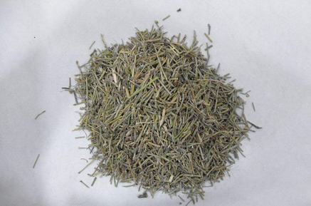 桂枝麻黄各半汤治疗感冒与荨麻疹医案经验