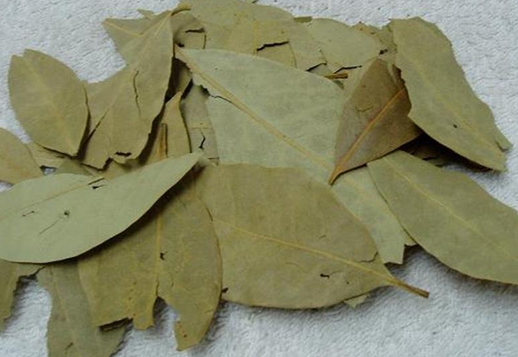 功劳叶和鳖甲药对配伍合用的作用与功效