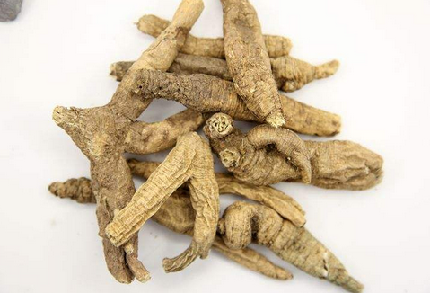 南沙参和北沙参的区别_对比哪个好?样子外观功效异同图片