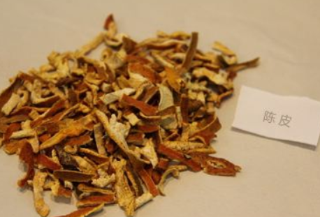 柴胡、青皮、陈皮配伍的作用与功效、主治病症与医案