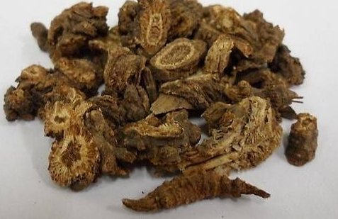 独活和羌活功效的异同_羌活独活饮片的鉴别区别与作用对比
