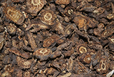羌活和独活能同时用吗?羌活独活一起用的功效与作用、临床应用